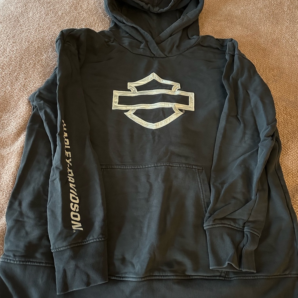 Harley-Davidson Gray Hoodie with Logo